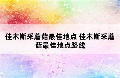 佳木斯采蘑菇最佳地点 佳木斯采蘑菇最佳地点路线